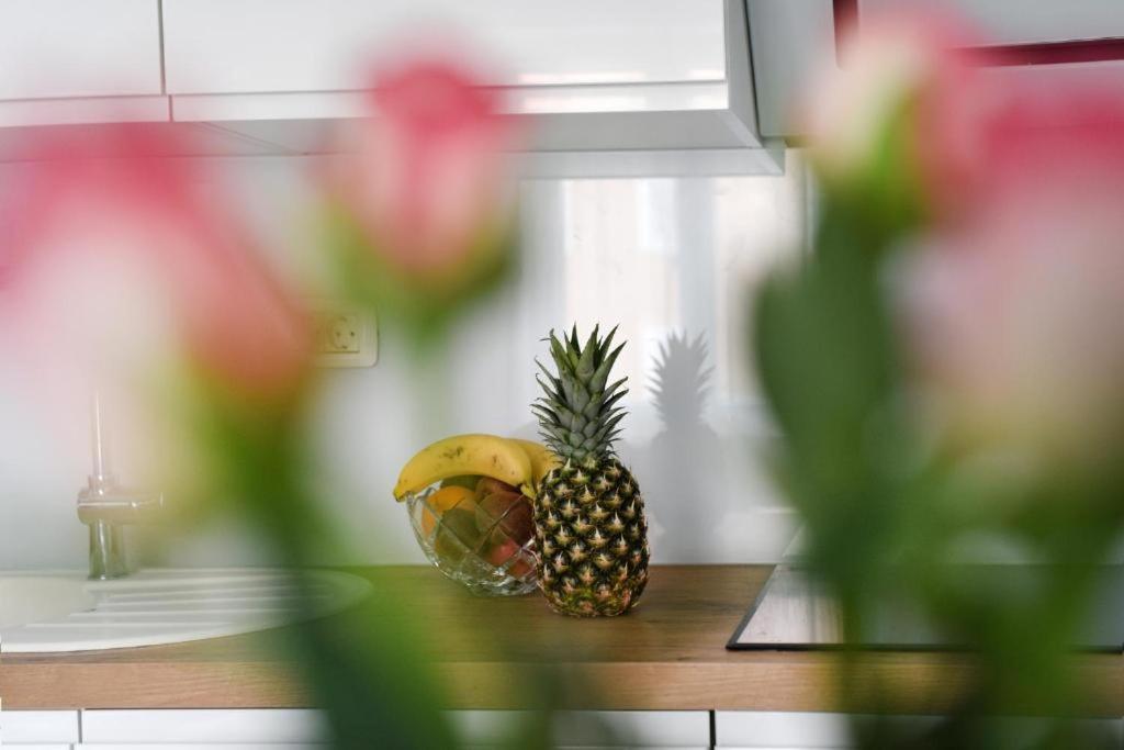 Apartment Lant Zadar Bagian luar foto